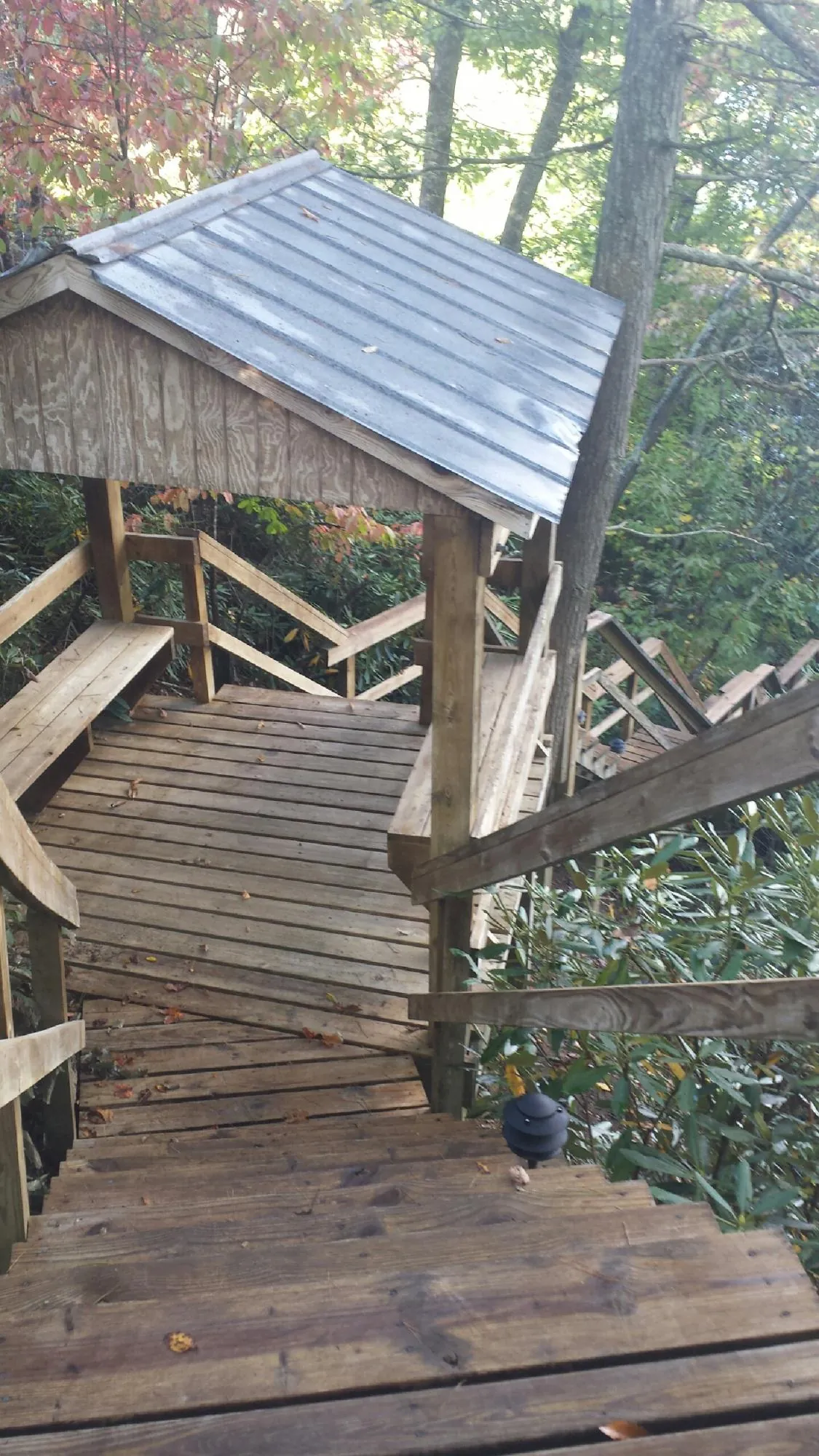 Metal roofed shelter over wooden steps on a wooded walkway — Skylight Repair & Installation work by our crew in Washington